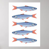 Sardinen