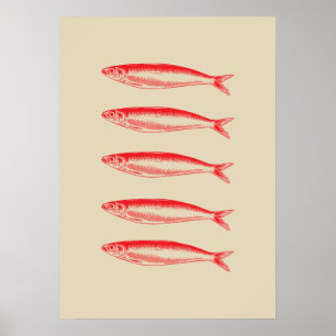 Sardines Fish Fisherman Poster