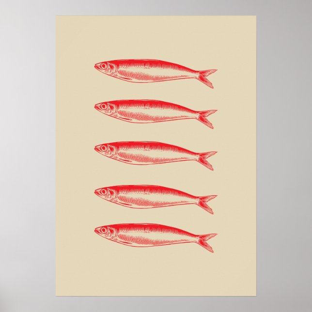 Sardines Fish Fisherman Poster (Vorne)