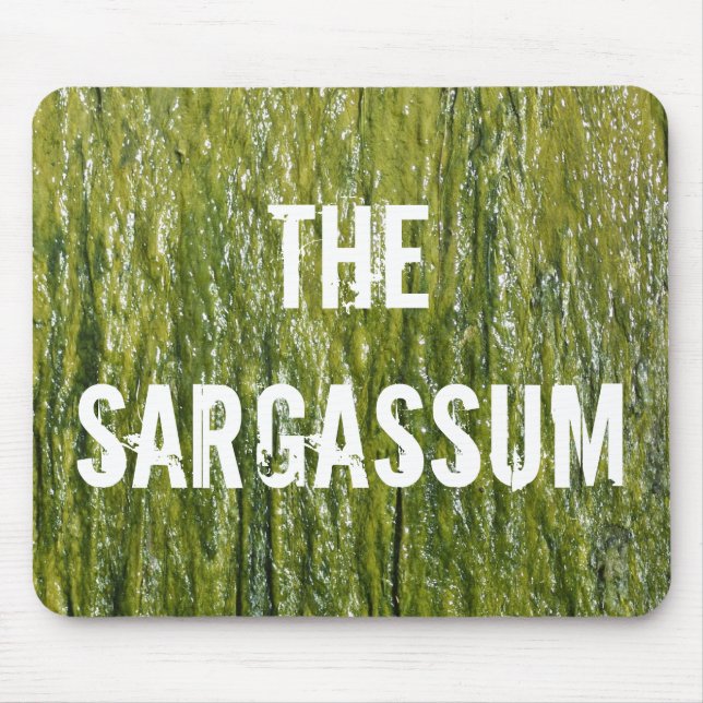 SARGASSUM! MOUSEPAD (Vorne)