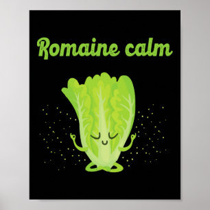Sarkastischer Römersalat Ruhiger Zen Yoga Friedlic Poster