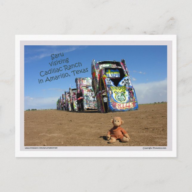 Saru Postcard 1 Postkarte (Vorderseite)