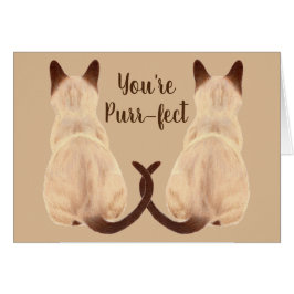 Sasha Siamese Amoureux des chats Back View Vous êt