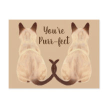 Sasha Siamese Cat Lover Back View You are Purfect