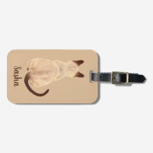 Sasha siamesische Katze, die hintere