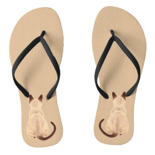 Sasha siamesische Katzen-Personen-Miezekatze, die Flip Flops