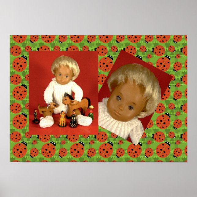 Sasha Woolly Poster (Vorne)