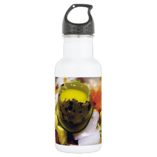 Sashimi Lachs Thunfisch Fisch Meeresfrüchte Kaviar Trinkflasche