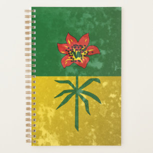 Saskatchewan Planer