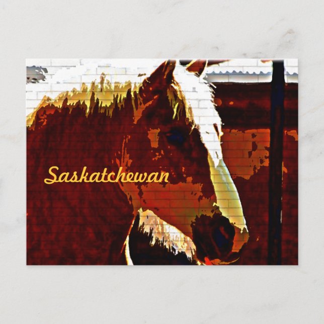 Saskatchewan, Sorrel Pferd in Profil Postkarte (Vorderseite)