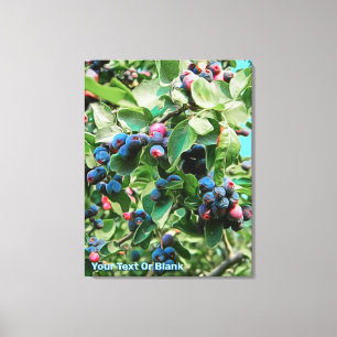 Saskatoon Leinwanddruck