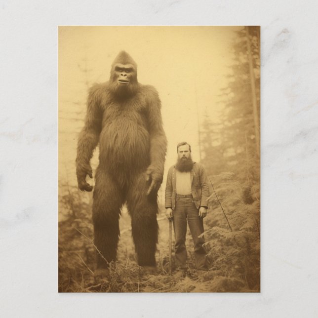 Sasquatch-Holzfäller-Postkarte Postkarte (Vorderseite)