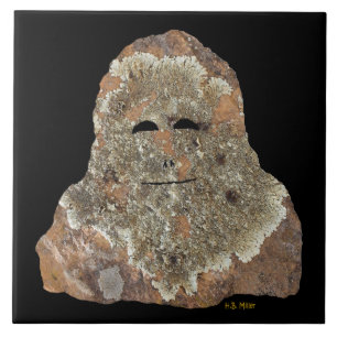 Sasquatch Rock Art Fliese