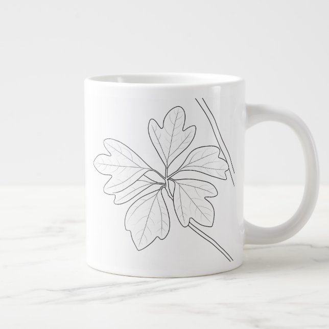 Sassafras albidum Jumbo-Tasse (Rechts)