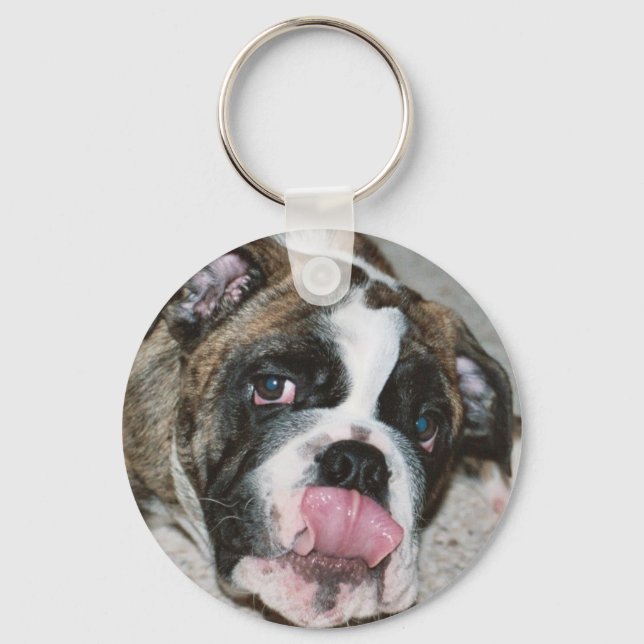 Sassdog Bulldog Schlüsselschützer Schlüsselanhänge Schlüsselanhänger (Vorderseite)