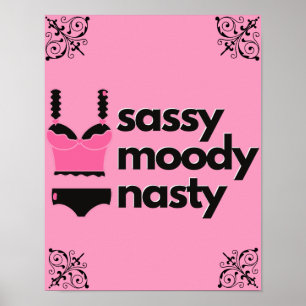 Sassy, Moody, Nasty Rosa & Schwarze Wäsche Boudoir Poster