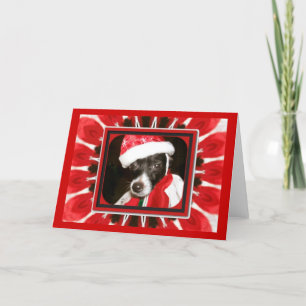 Sassy Santa Dog Feiertagskarte