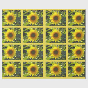 Sassy Summer Sunblumen Umschlagpapier Geschenkpapier