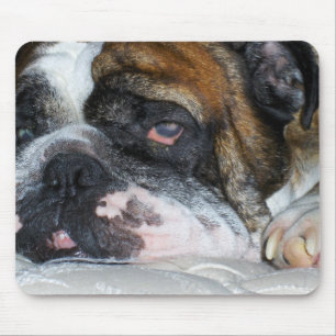 Sassydog englische Bulldoggen-Mausunterlage Mousepad