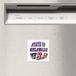 Sate of Delaware Picture and USA Flag Text Magnet