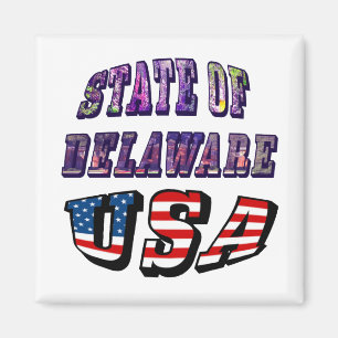 Sate of Delaware Picture and USA Flag Text Magnet