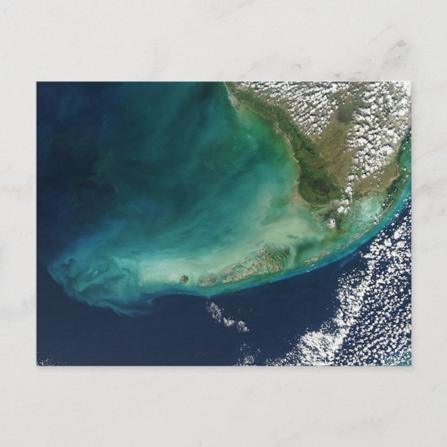 Satellite-Foto der Tasten von Florida Postkarte (Vorderseite)