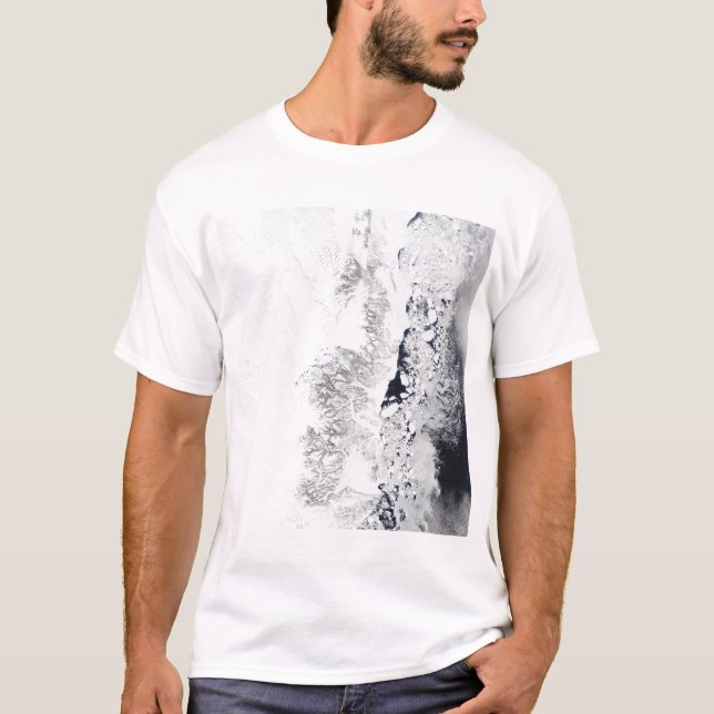 Satellitenansicht der Ostküste Grönlands T-Shirt (Vorderseite)