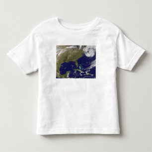 Satellitenansicht der Staatostküste Kleinkind T-shirt
