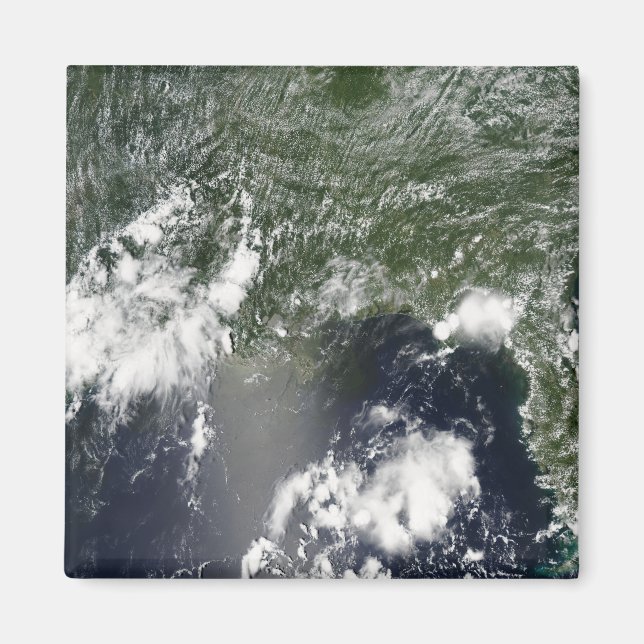 Satellitenansicht des Golfs von Mexiko Magnet (Vorne)