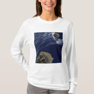 Satellitenansicht des Prinzen Edward Islands T-Shirt