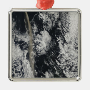 Satellitenansicht einer Aschenfeder Ornament Aus Metall