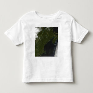 Satellitenansicht von Neu-England Kleinkind T-shirt