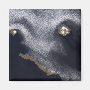 Satellitenbild der Insel Semisopochnoi Magnet