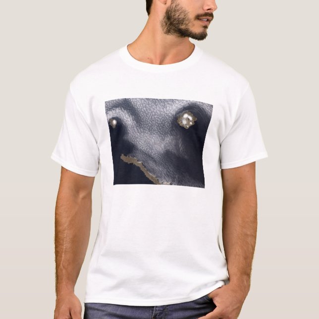 Satellitenbild der Insel Semisopochnoi T-Shirt (Vorderseite)