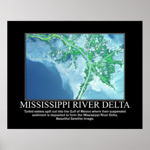 Satellitenbild des Fluss Mississipi-Dreiecks Poster