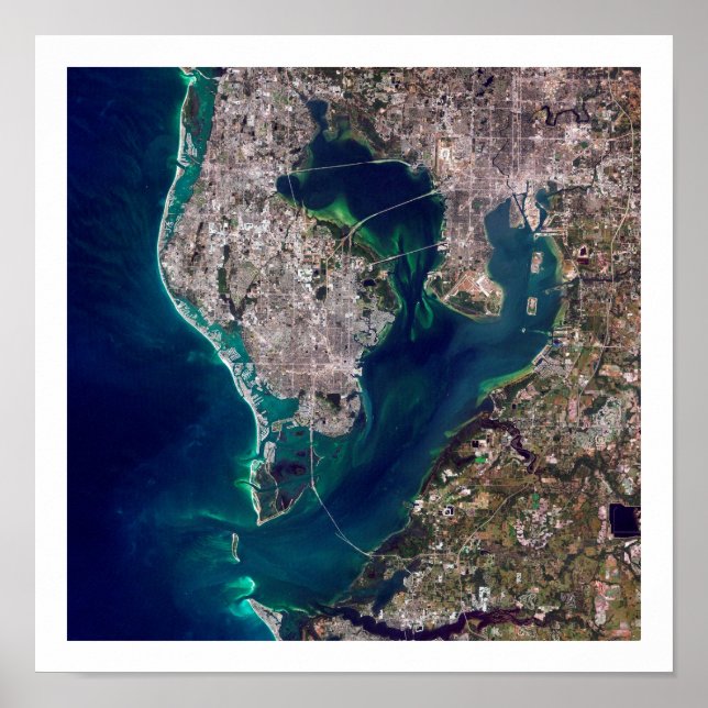 Satellitenbild von Tampa Bay Poster (Vorne)