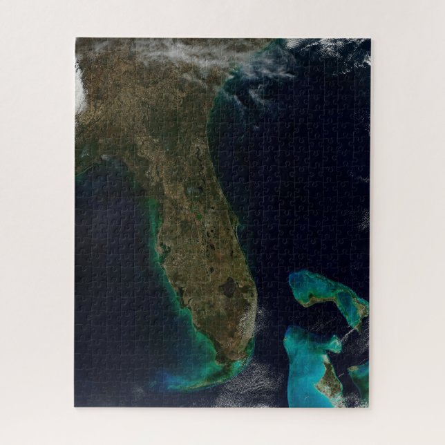 Satellitenblick auf Florida. (Vertikal)
