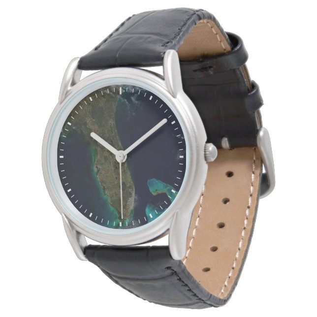 Satellitenblick auf Florida. Armbanduhr (Schrägansicht)