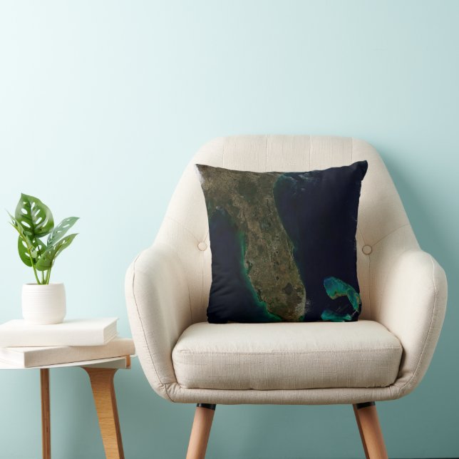 Satellitenblick auf Florida. Kissen (Stuhl )