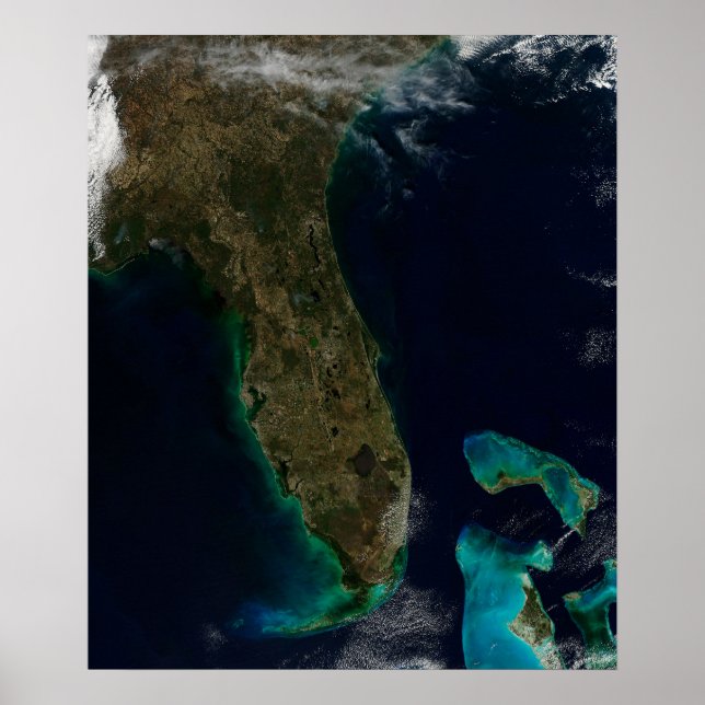 Satellitenblick auf Florida. Poster (Vorne)