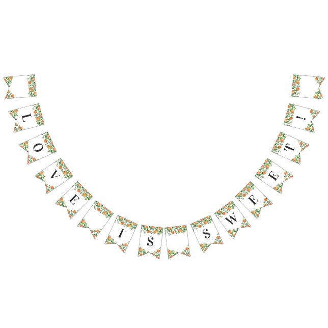 Satsuma Charcoal Main Squeeze Citrus Brautparty Wimpelkette (Alle)