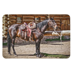 Sattelpferd Magnet