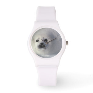 Sattelrobbe Phoca groenlandica) Eine Woche alte Sa Armbanduhr