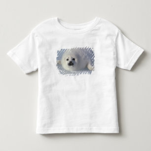 Sattelrobbe Phoca groenlandica) Eine Woche alte Sa Kleinkind T-shirt