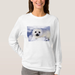 Sattelrobbenjunges Eis Golf von St. Lawrence, T-Shirt