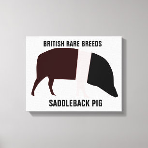 Sattelrücken-Schwein Leinwanddruck