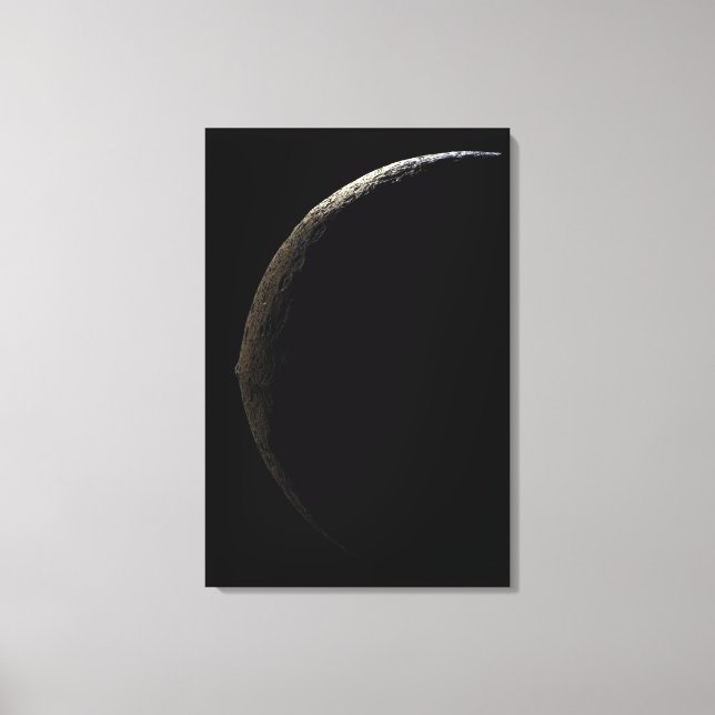 Saturn Mond Iapetus Leinwanddruck (Vorderseite)