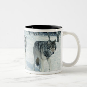 Satz Wölfe am Rand des schneebedeckten Waldes Zweifarbige Tasse