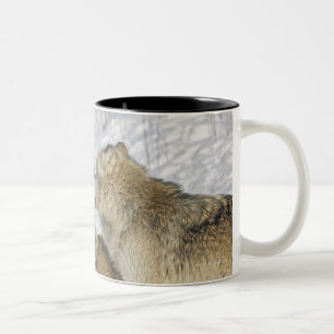Satz Wolfwechselwirkung Zweifarbige Tasse