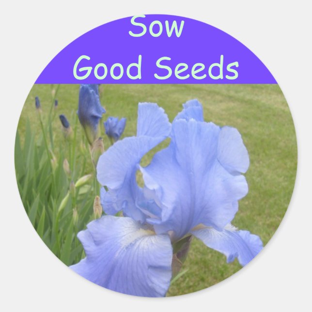 Sau Good Seeds Aufkleber (Vorderseite)